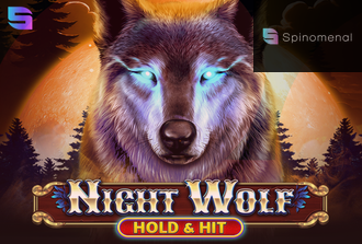 Night Wolf - Hold & Hit